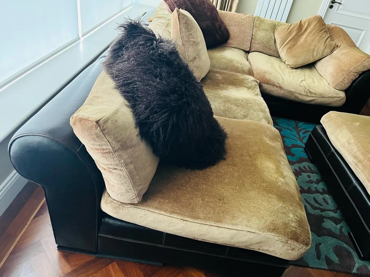 Couch - Image 4