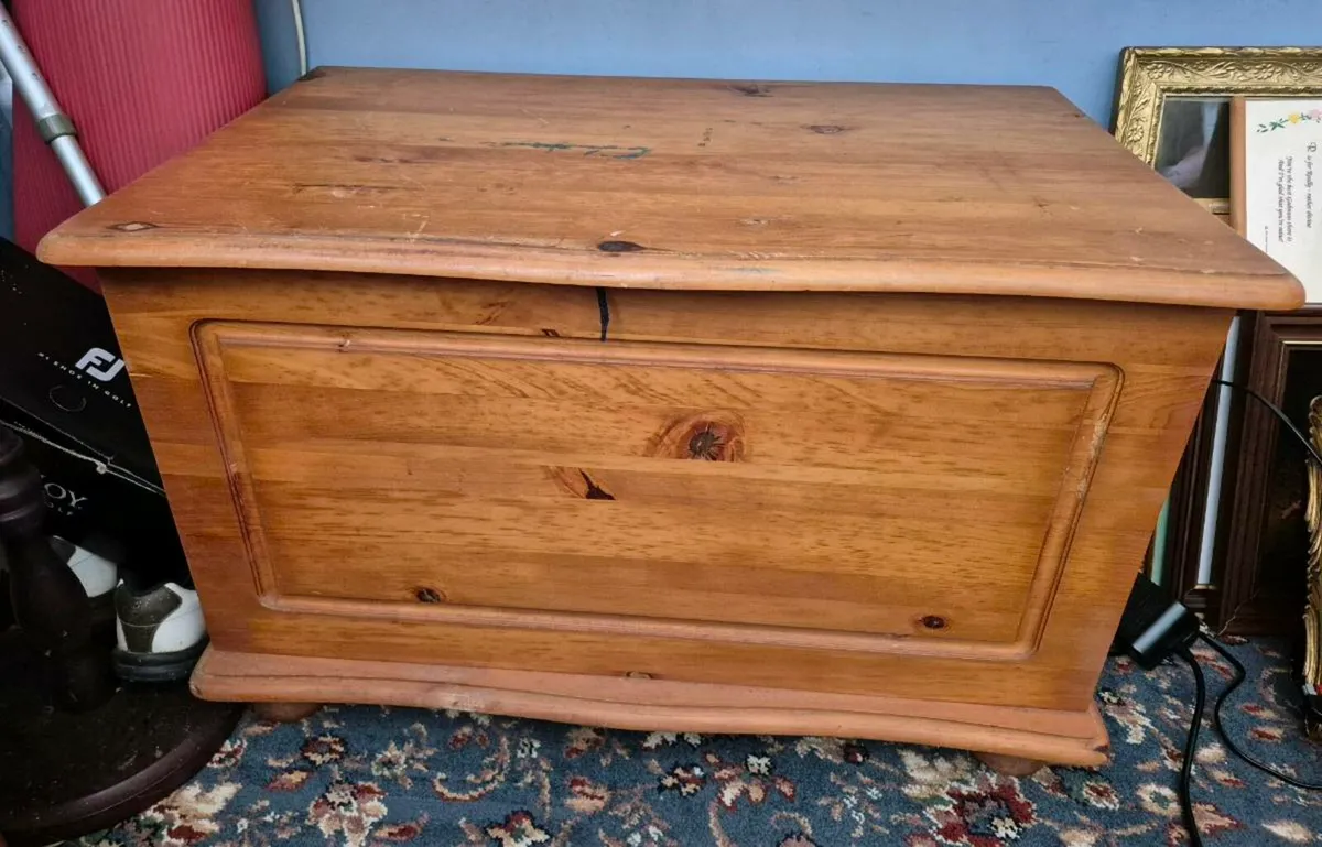 Pine trunk