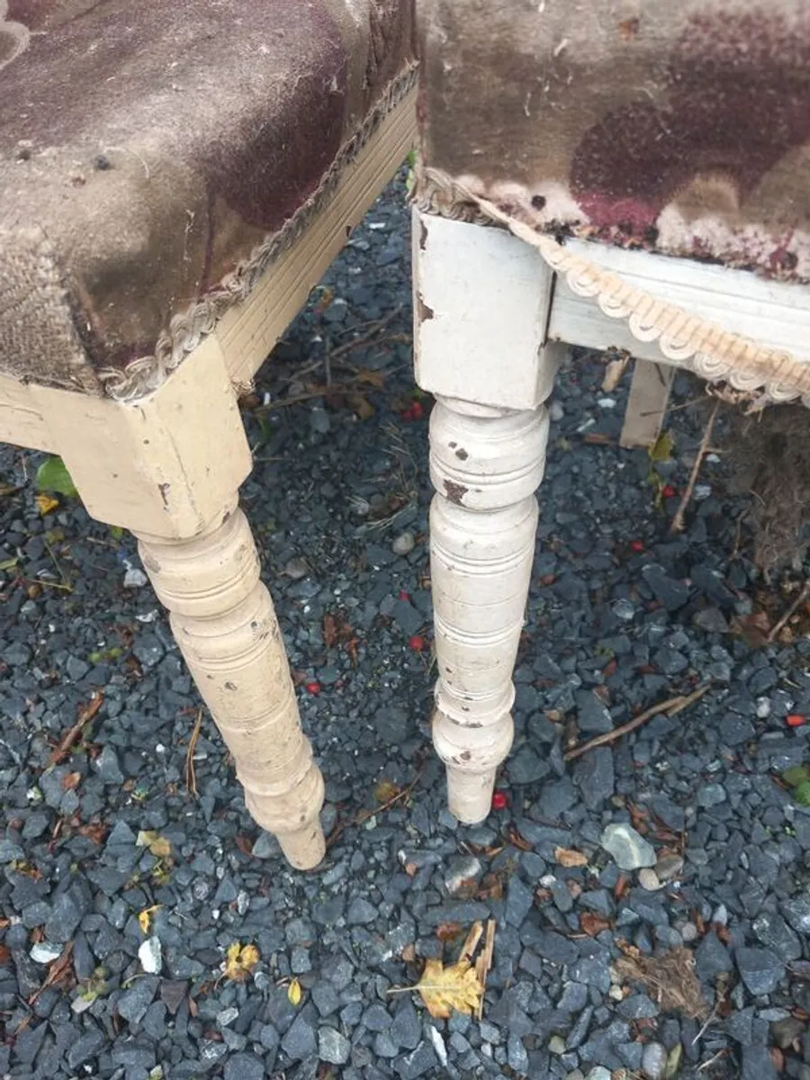 Pair of antique dining chairs, suitable for restoration classes - Image 3