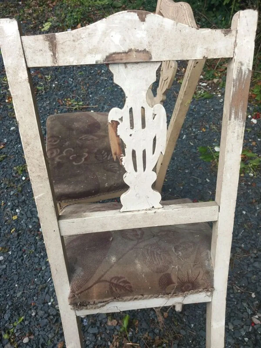 Pair of antique dining chairs, suitable for restoration classes - Image 4