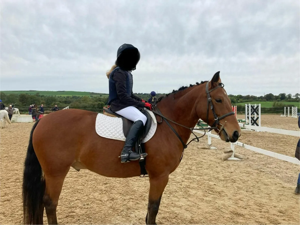 Safe family Pony - Image 2