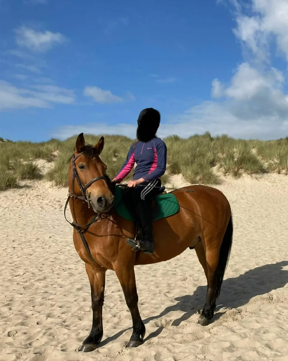 Safe family Pony - Image 4