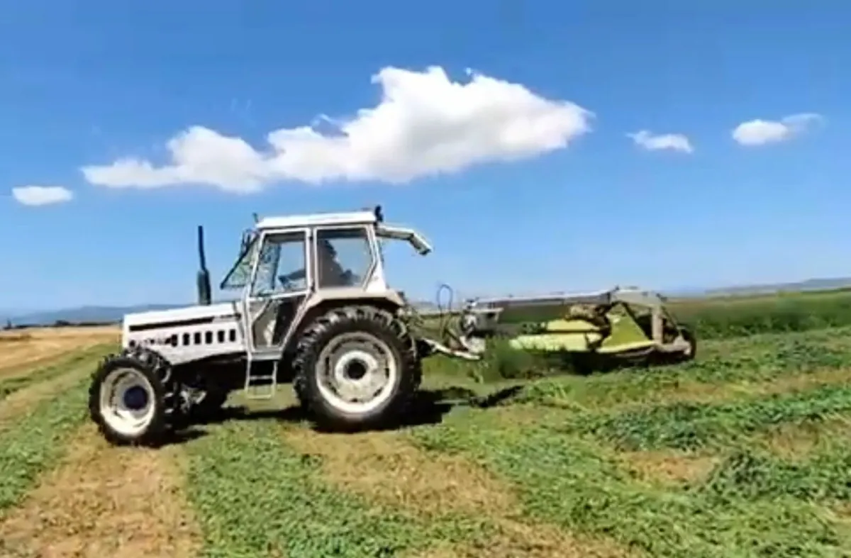 Silage bales - Image 1