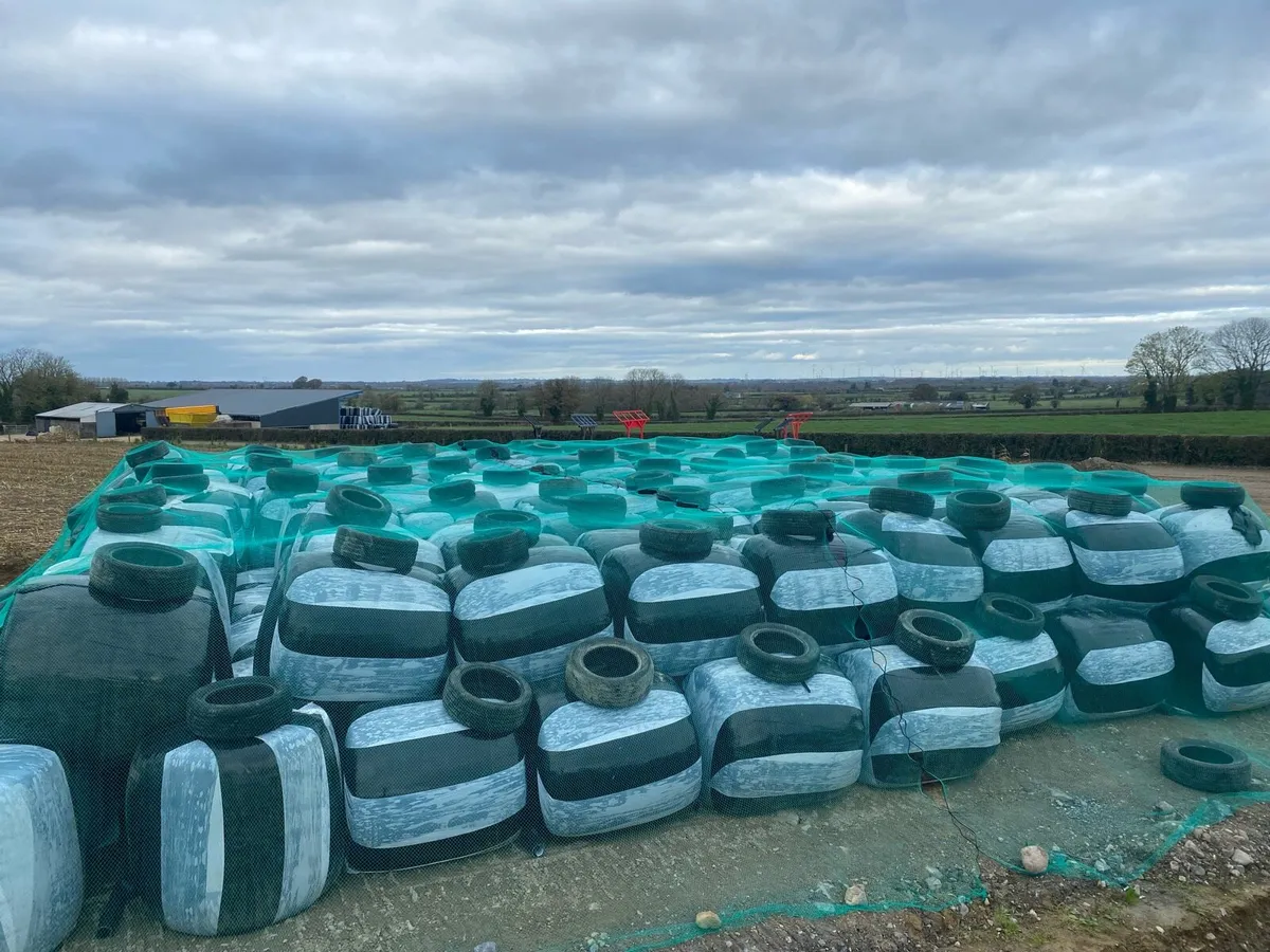 ###. Maize Bales ### - Image 1