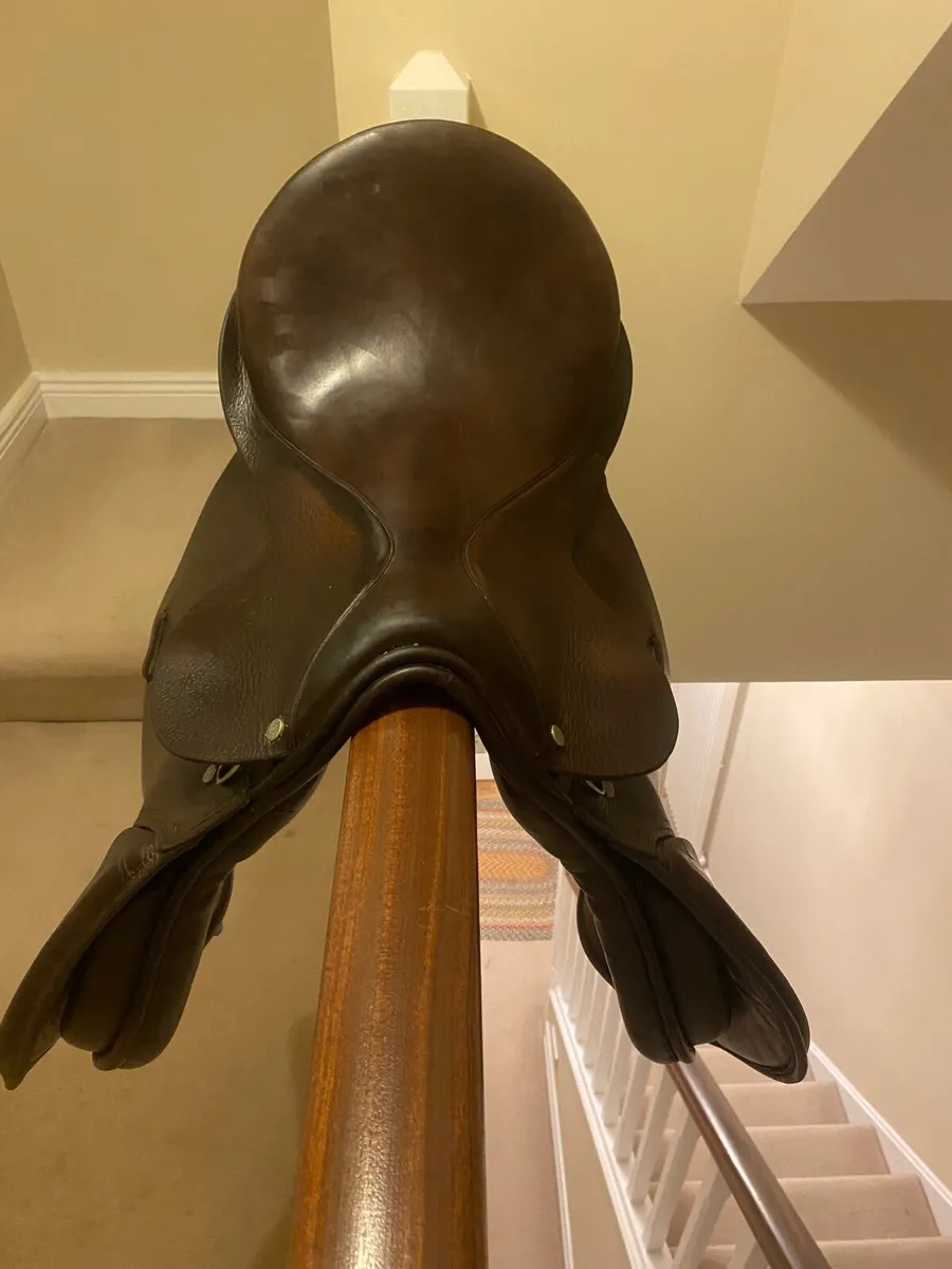 17.5 Berney bros brown leather Jumping  saddle - Image 3
