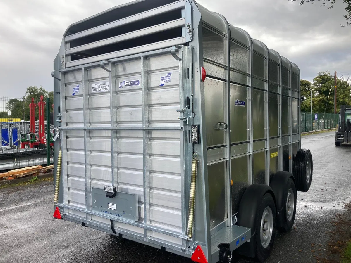 New Ifor Williams 12x7 Trailer / Horsebox ONLY 1 - Image 3