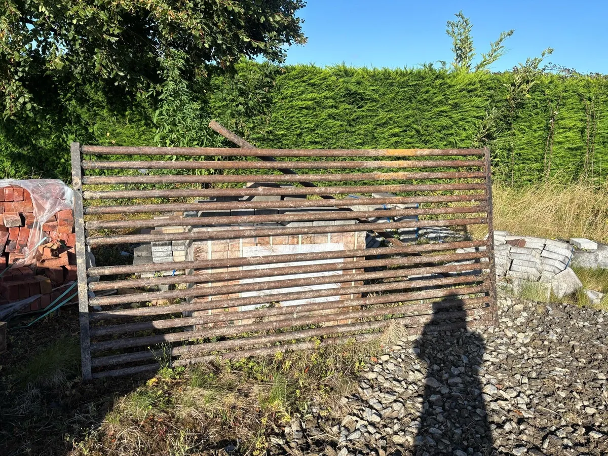 Cattle Grid - Image 1