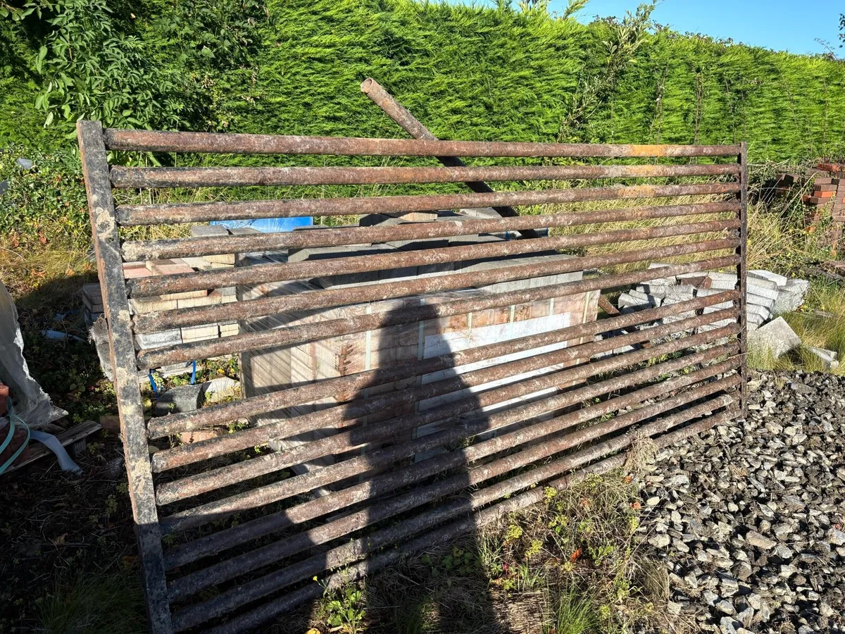 Cattle Grid - Image 2