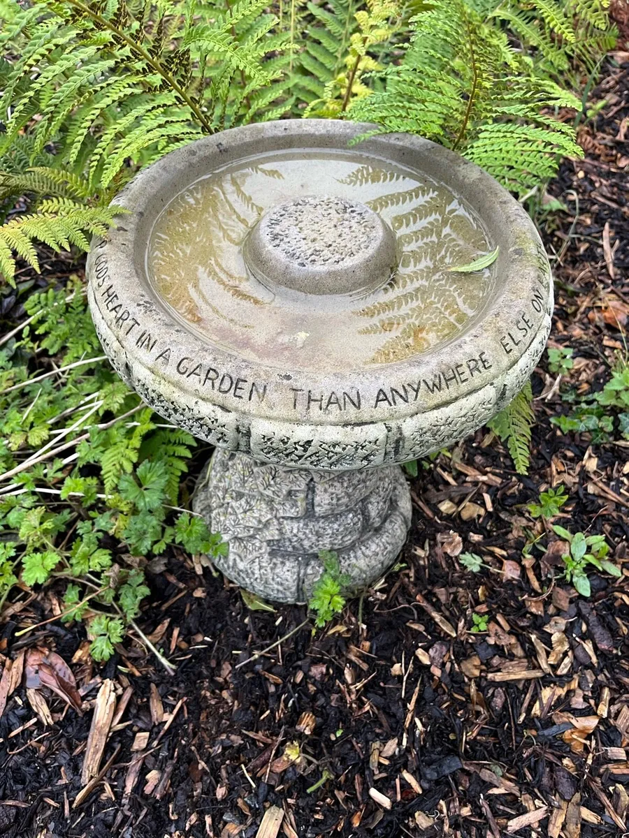 Garden - Image 3