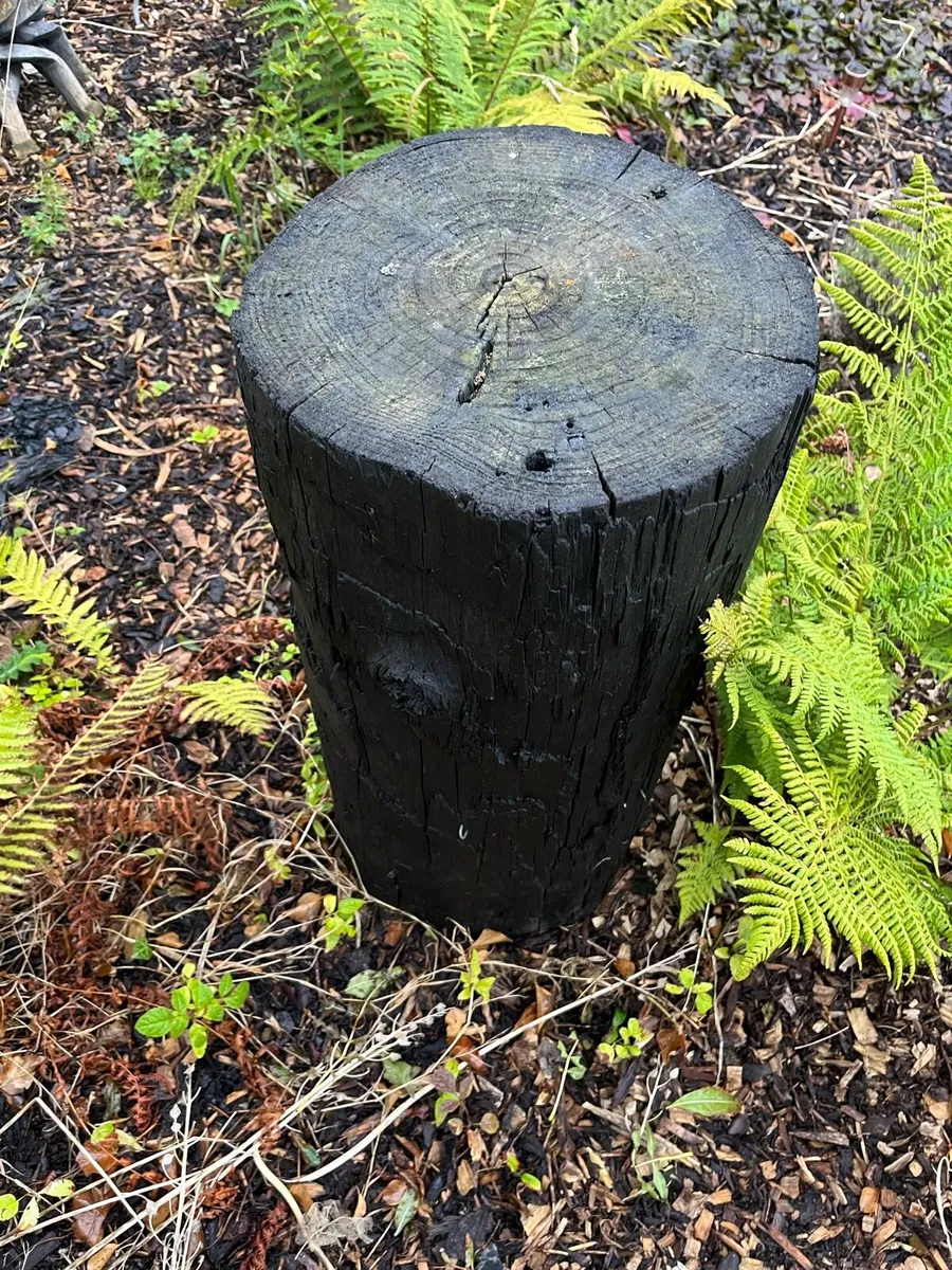 Garden - Image 4