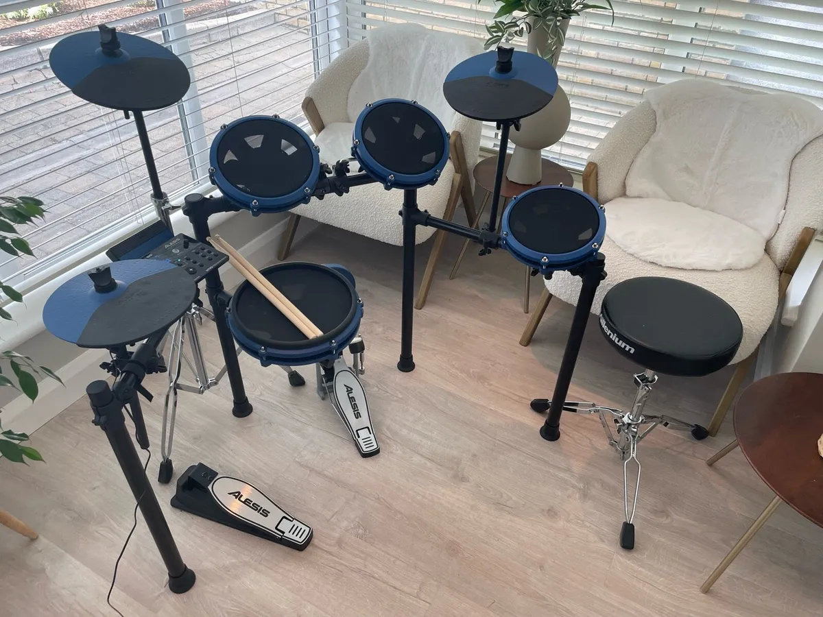 Alesis Electric Drum Kit - Image 4