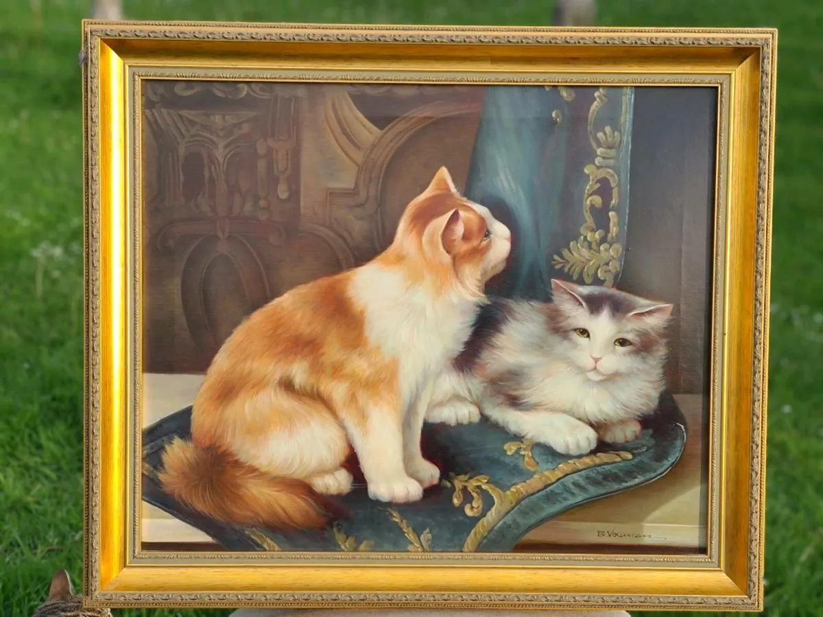 Cats - Image 4
