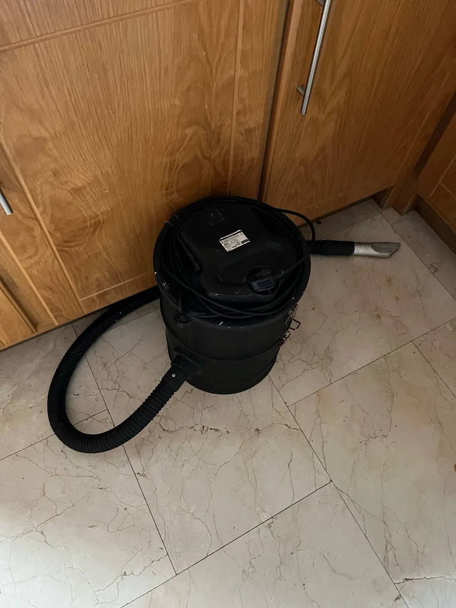 Ash Vacuum - Image 2