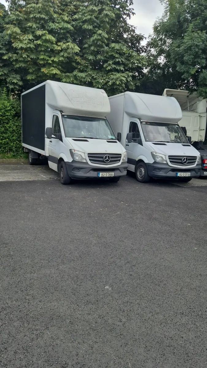 Man and van - Image 1