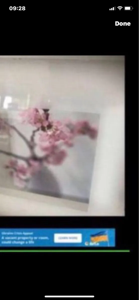 Framed Floral Prints - Image 4