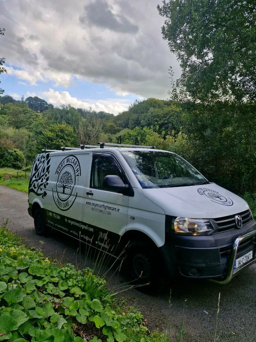 VW Transporter LWB - Image 2