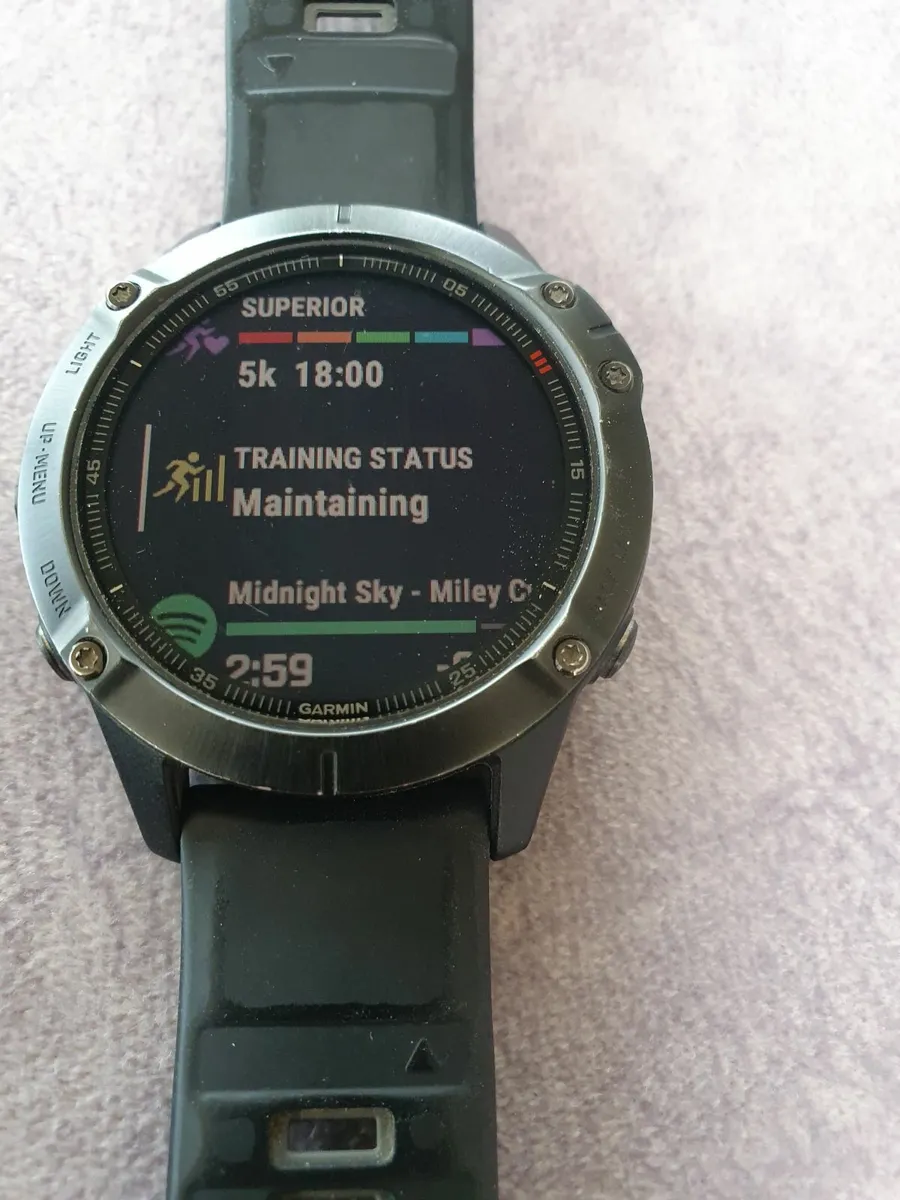 Garmin Fenix 6 watch - Image 1