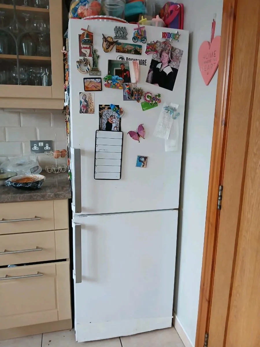 Fridge - Image 1