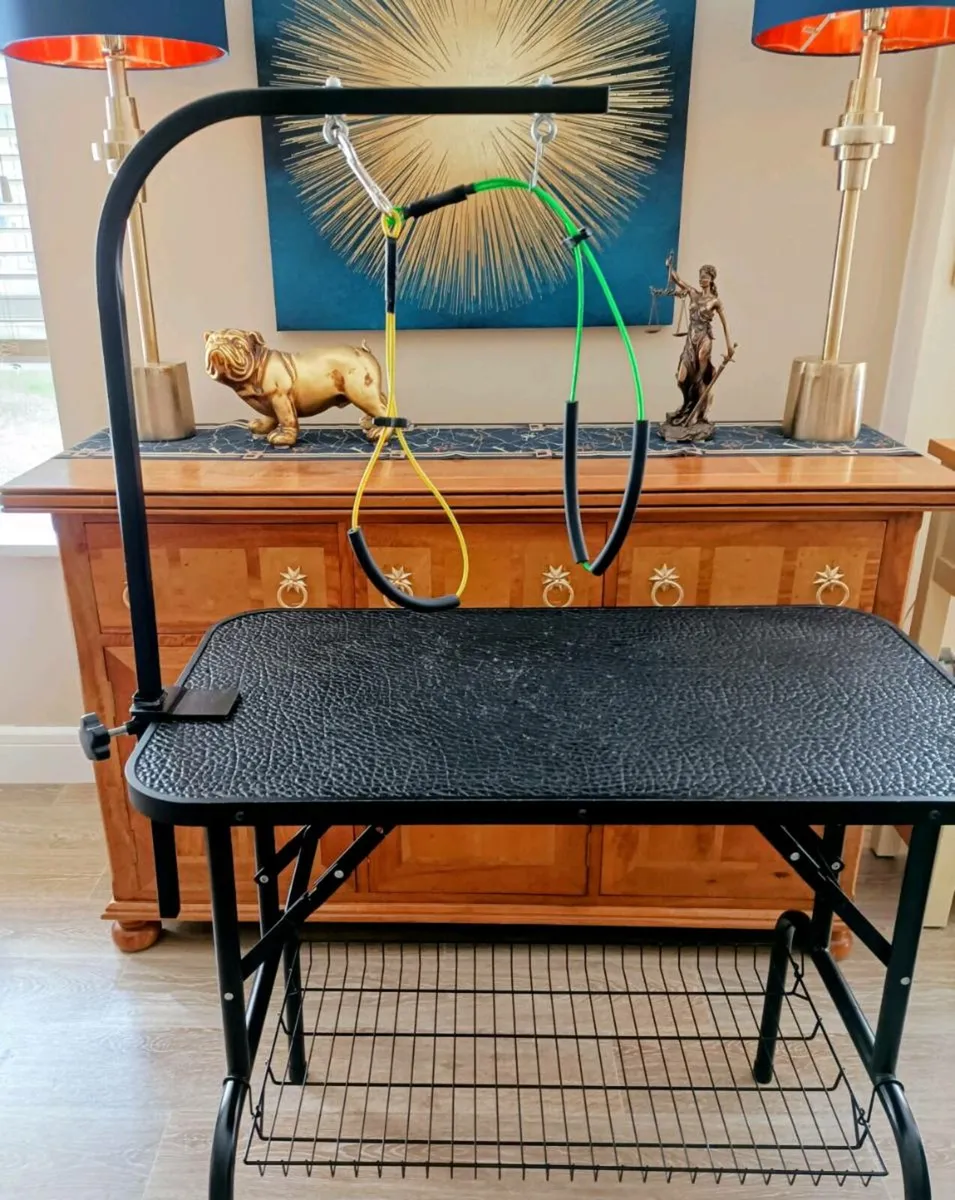 Professional Grooming Table and All Accessories. - Image 2
