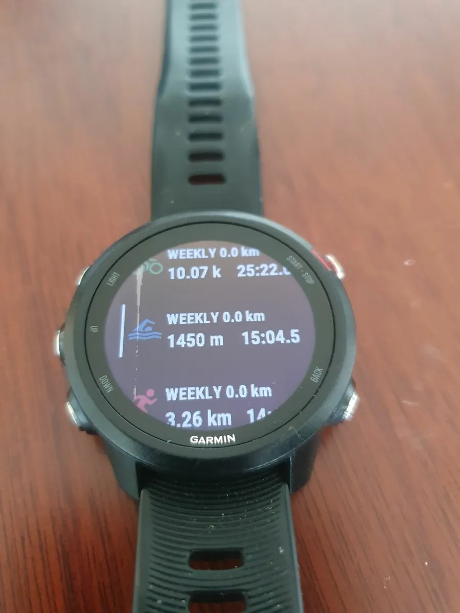Garmin Forerunner 245 Music - Image 1