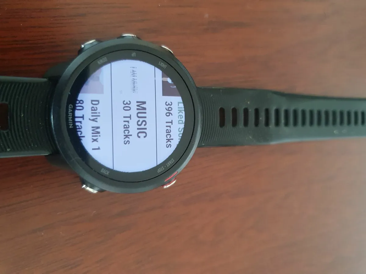 Garmin Forerunner 245 Music - Image 2