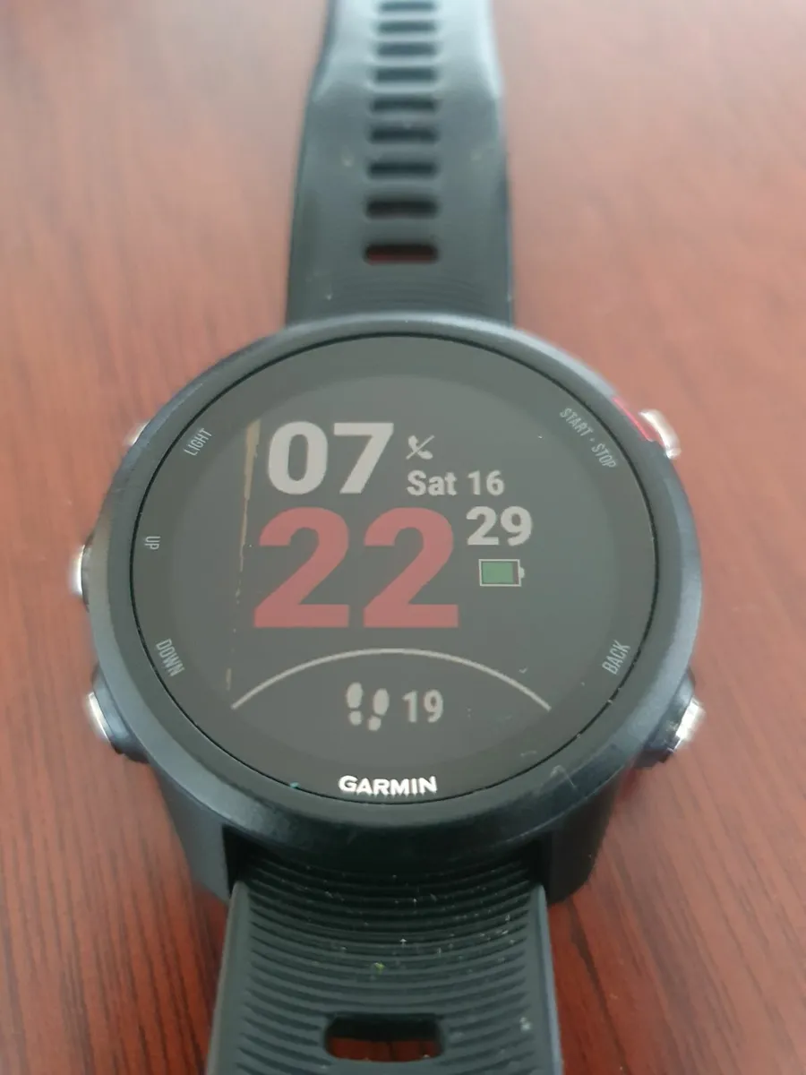 Garmin Forerunner 245 Music - Image 3