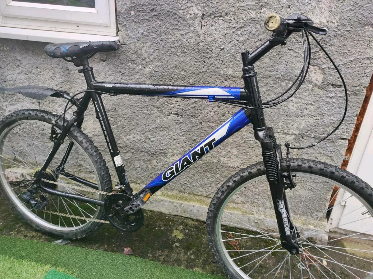 Giant mountain bike - Image 1