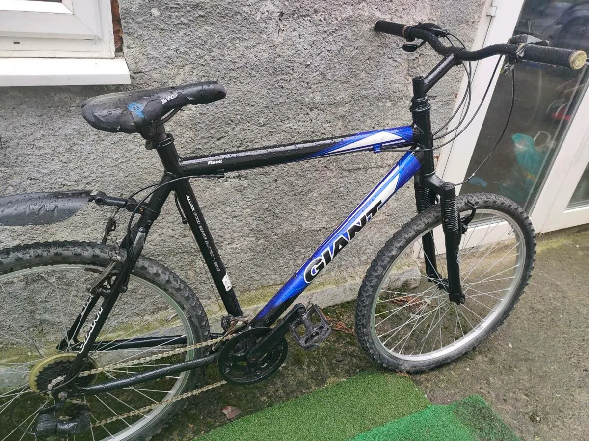 Giant mountain bike - Image 2