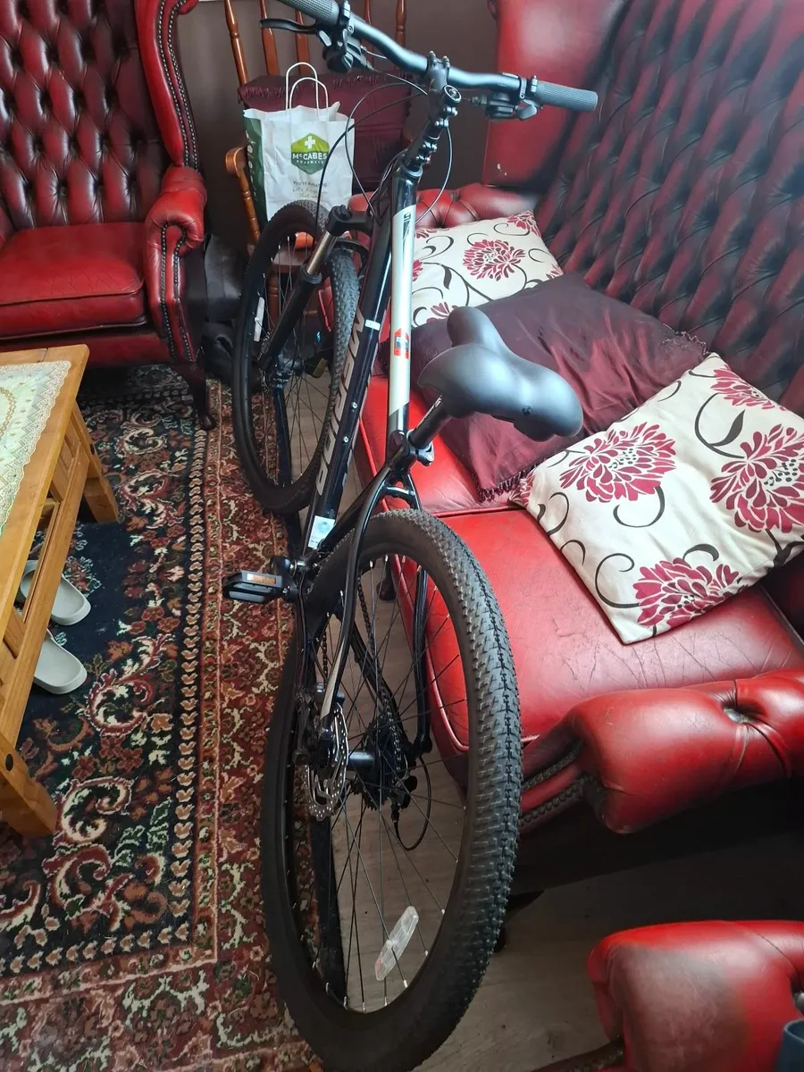 Bike - Image 2