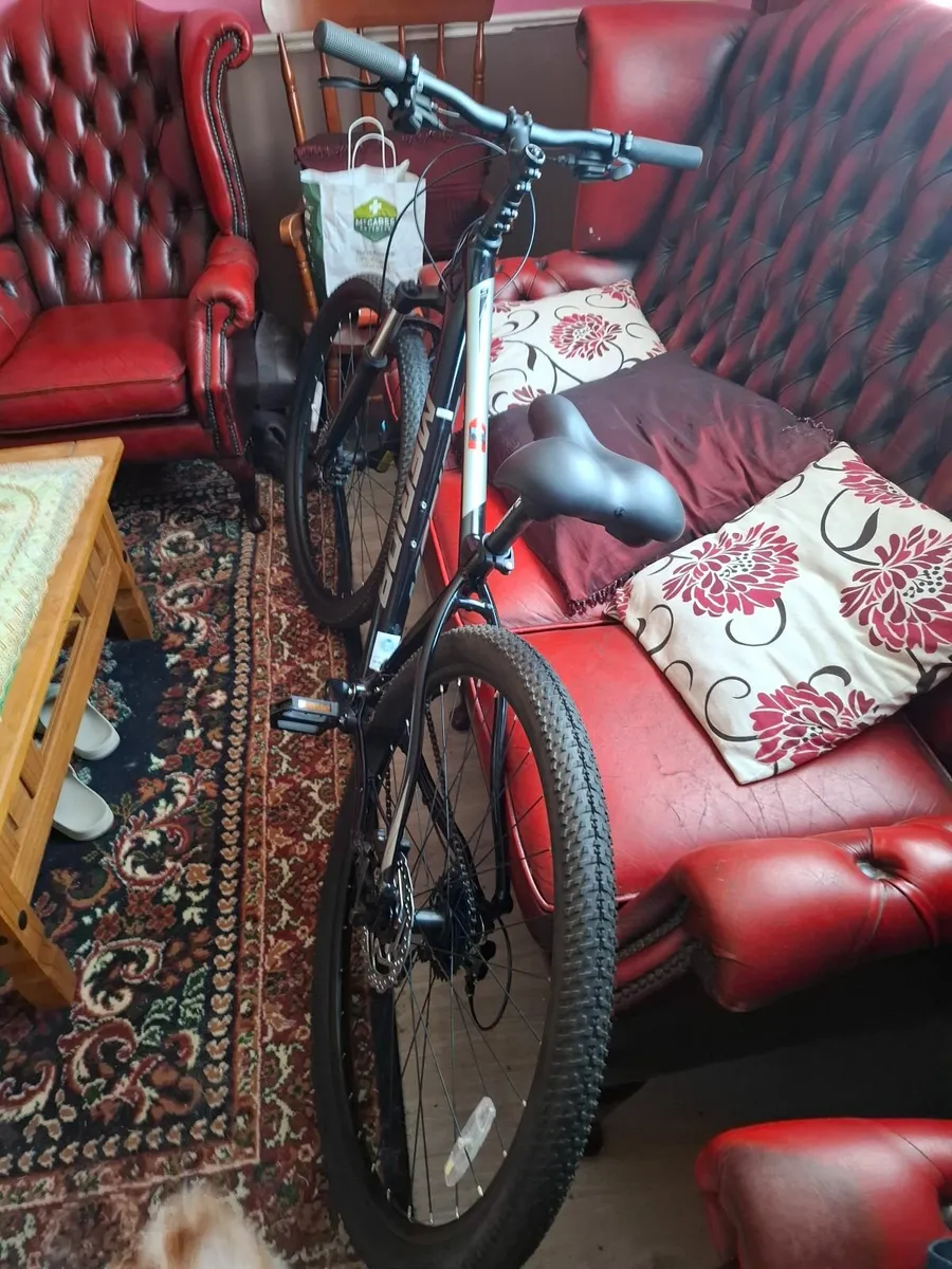 Bike - Image 4