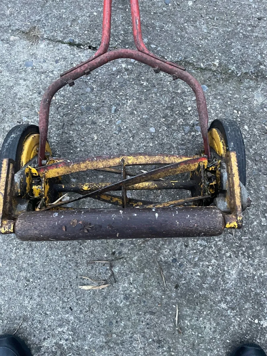 Lawnmower push - Image 3