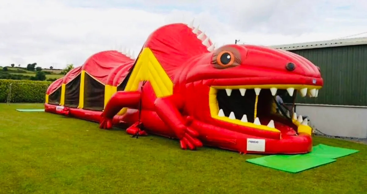 Lizard obstacle course 55ft