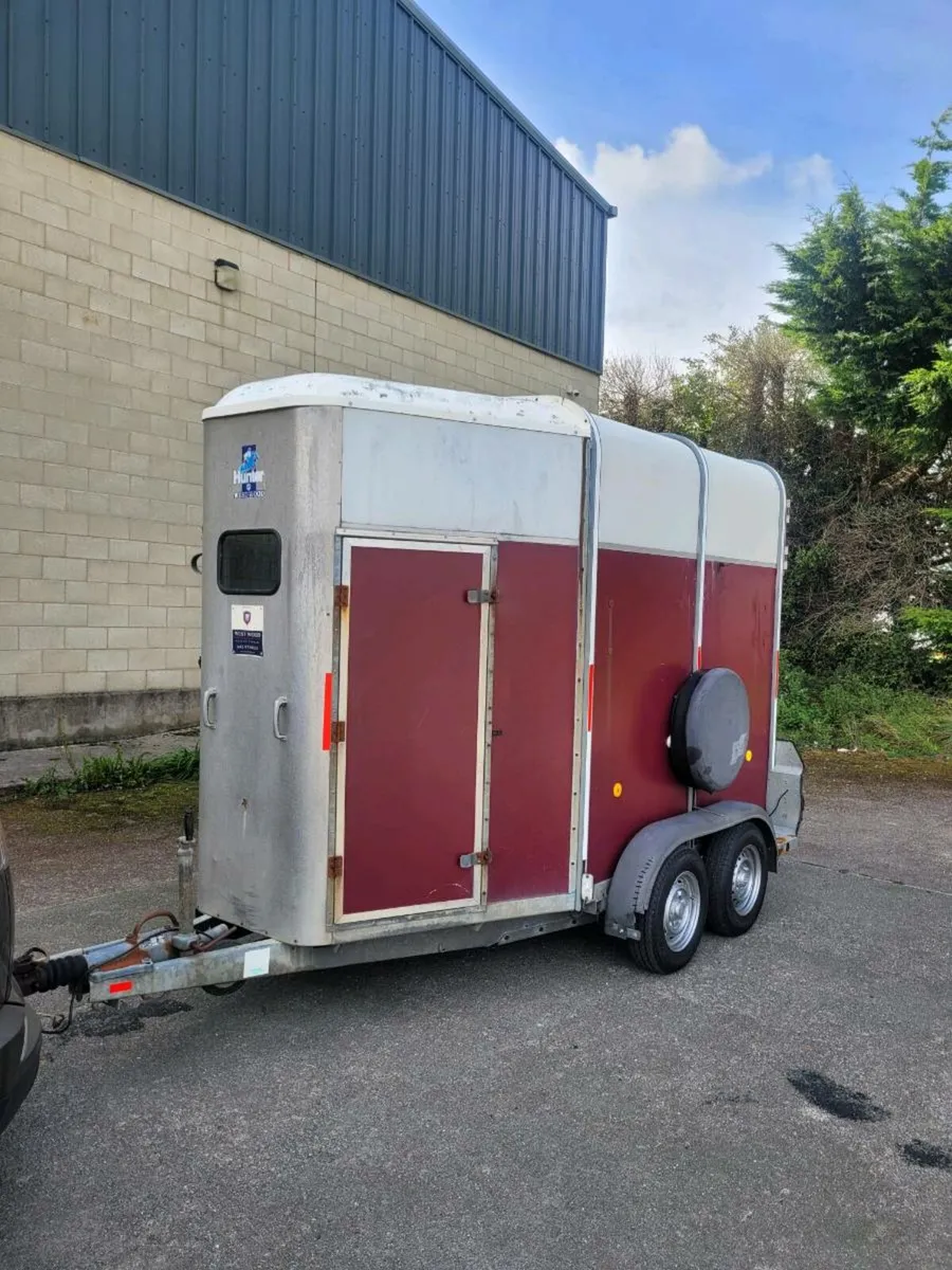 Ifor Williams 505 horse box - Image 2