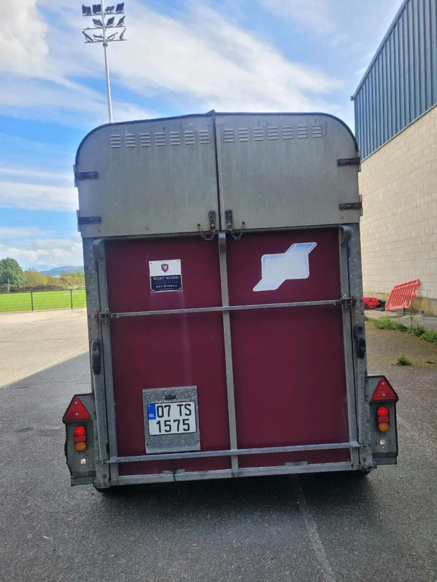 Ifor Williams 505 horse box - Image 4