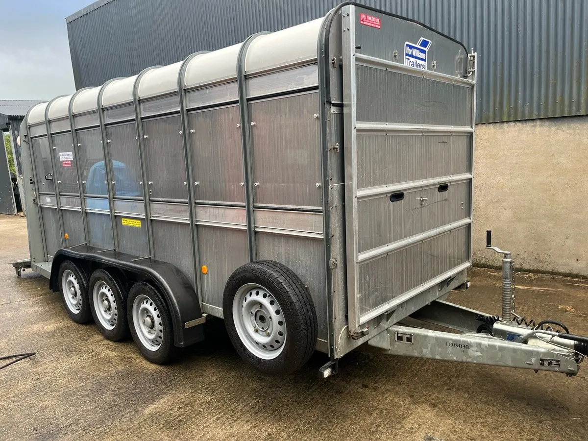 Ifor Williams 14x6 triaxle cattle and sheep - Image 1