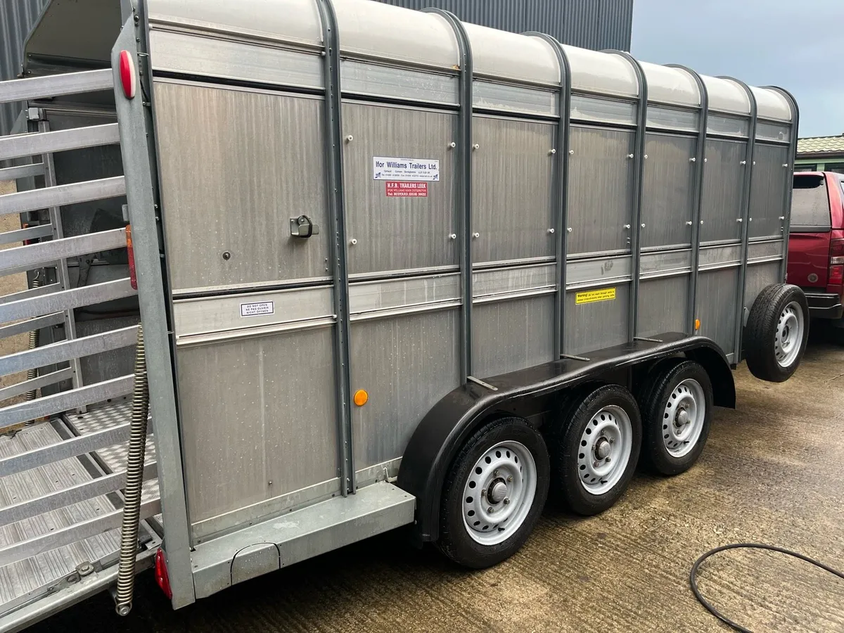 Ifor Williams 14x6 triaxle cattle and sheep - Image 2