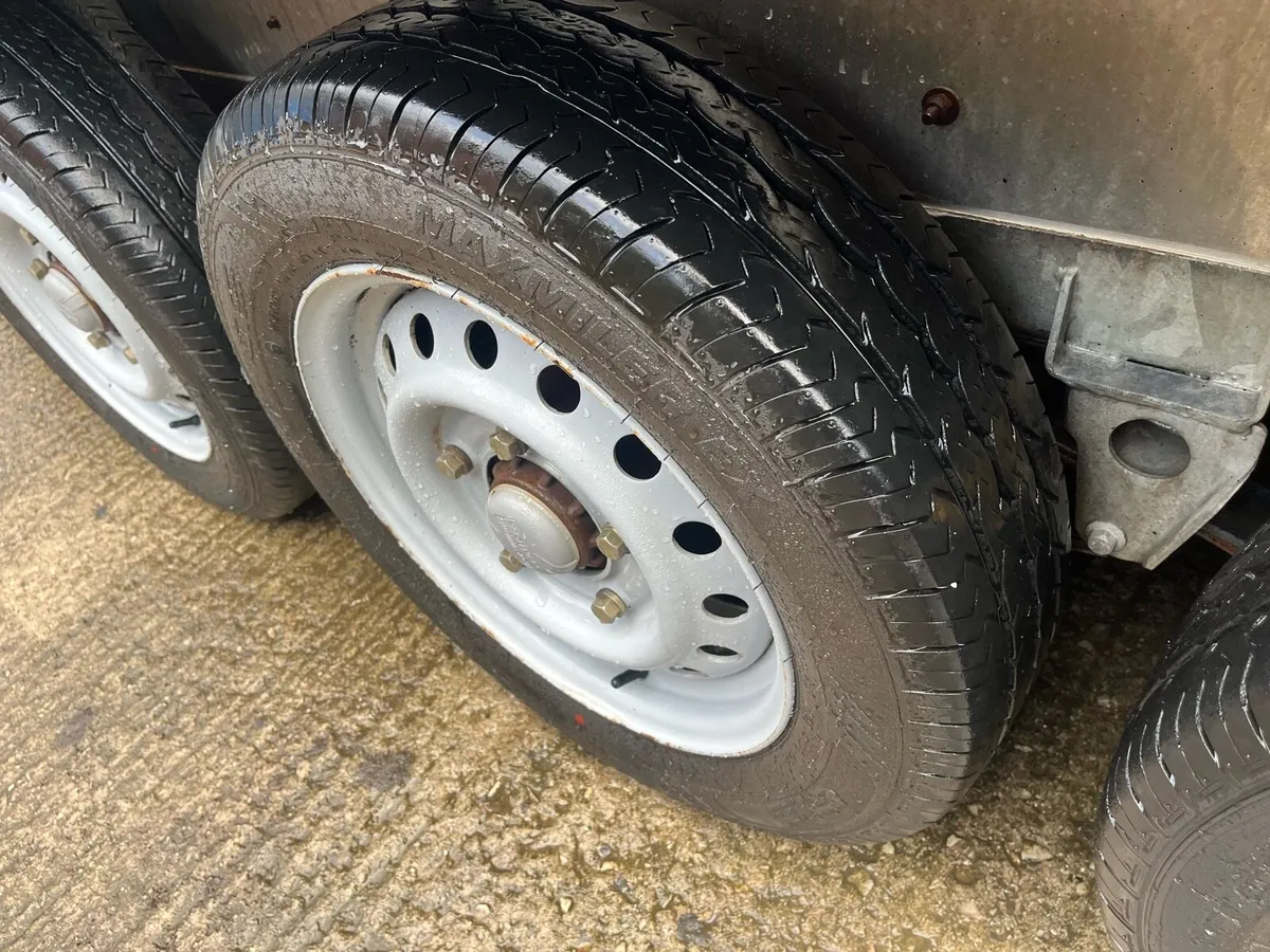 Ifor Williams 14x6 triaxle cattle and sheep - Image 4