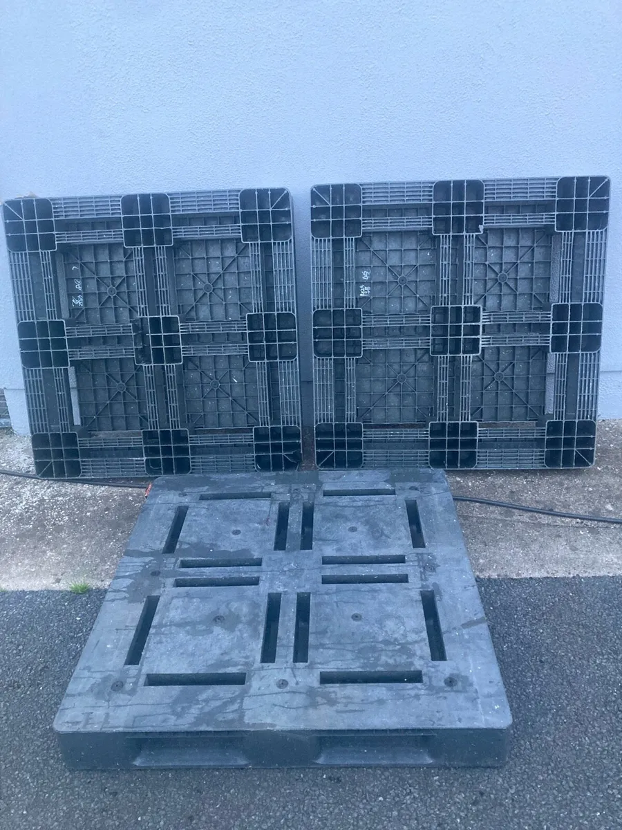 Good Solid plastic pallets - Image 2