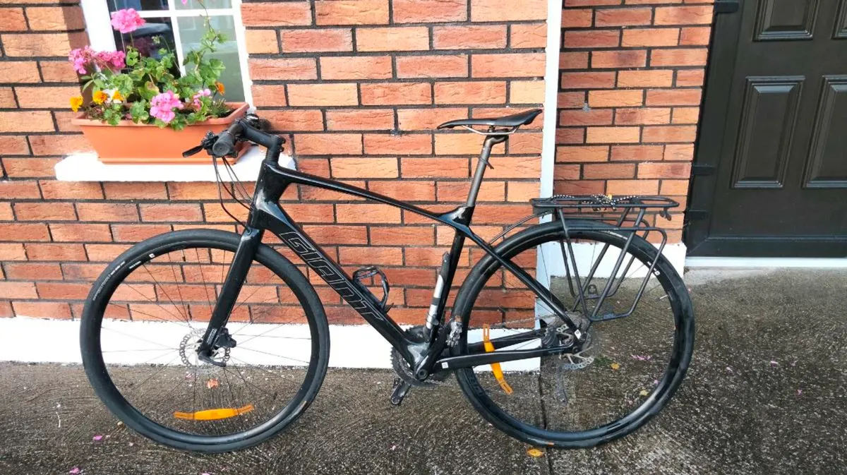 Carbon Hybrid bike - Image 1