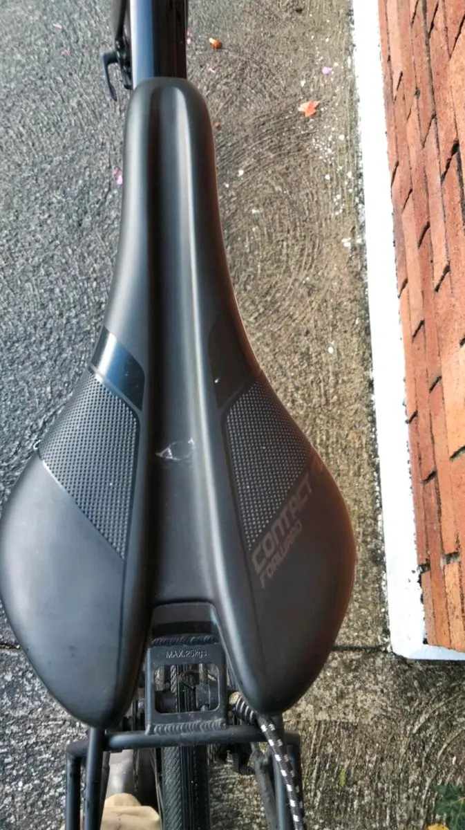 Carbon Hybrid bike - Image 3
