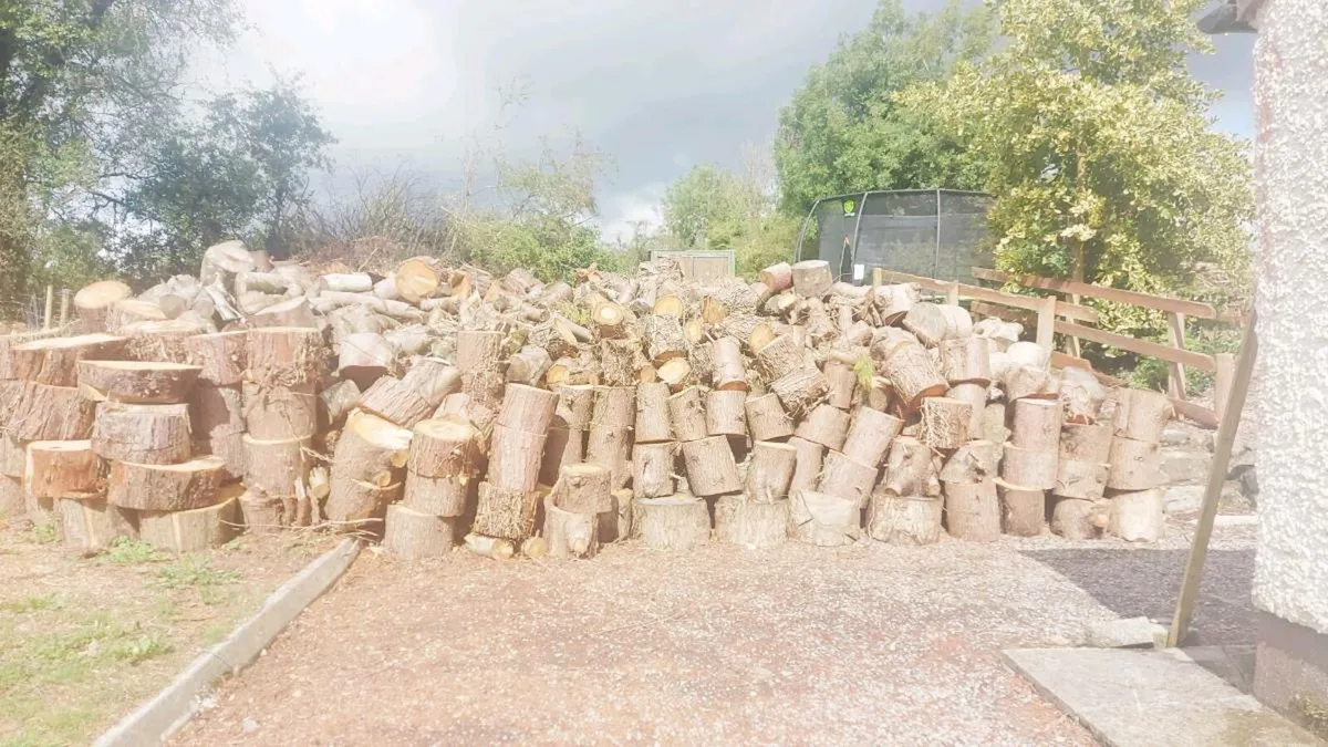 Firewood