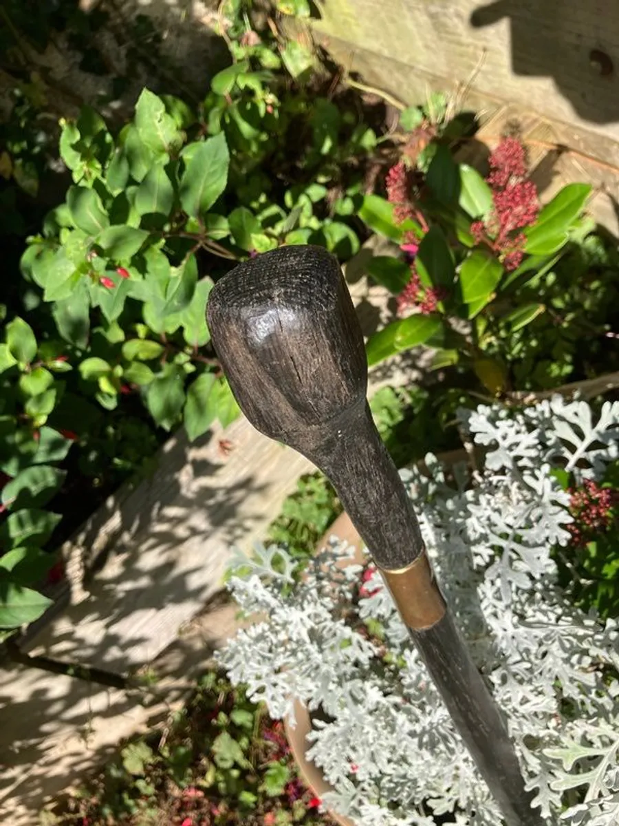 Bog Oak Walking stick - Image 1