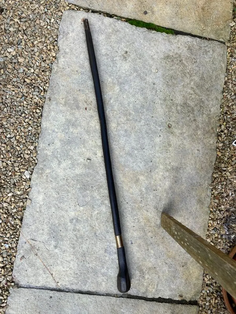 Bog Oak Walking stick - Image 4