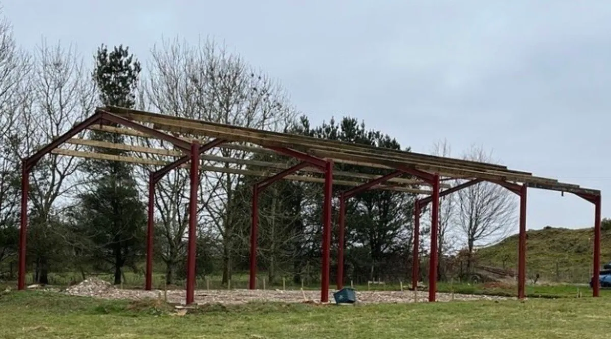 Steel Frame Shed - Image 4