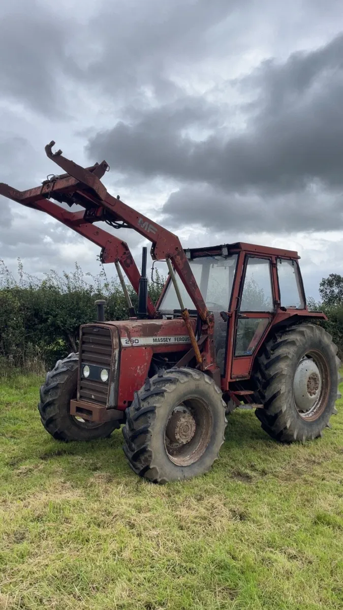 Massey Ferguson 290 - Image 1