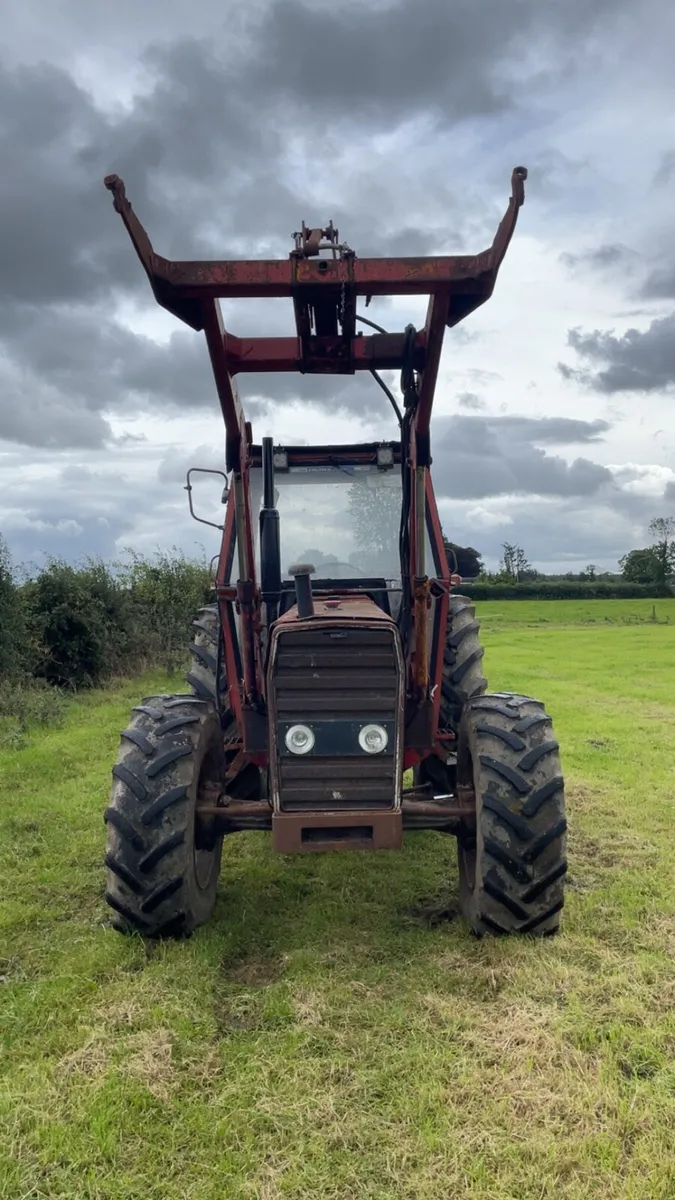 Massey Ferguson 290 - Image 2