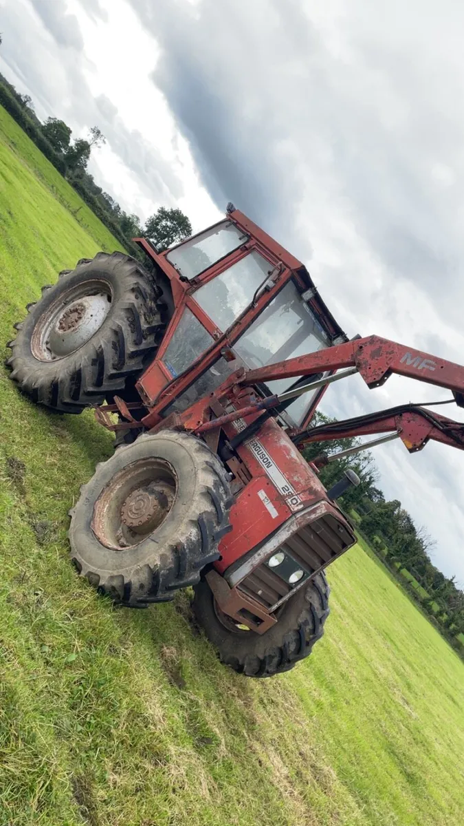 Massey Ferguson 290 - Image 3