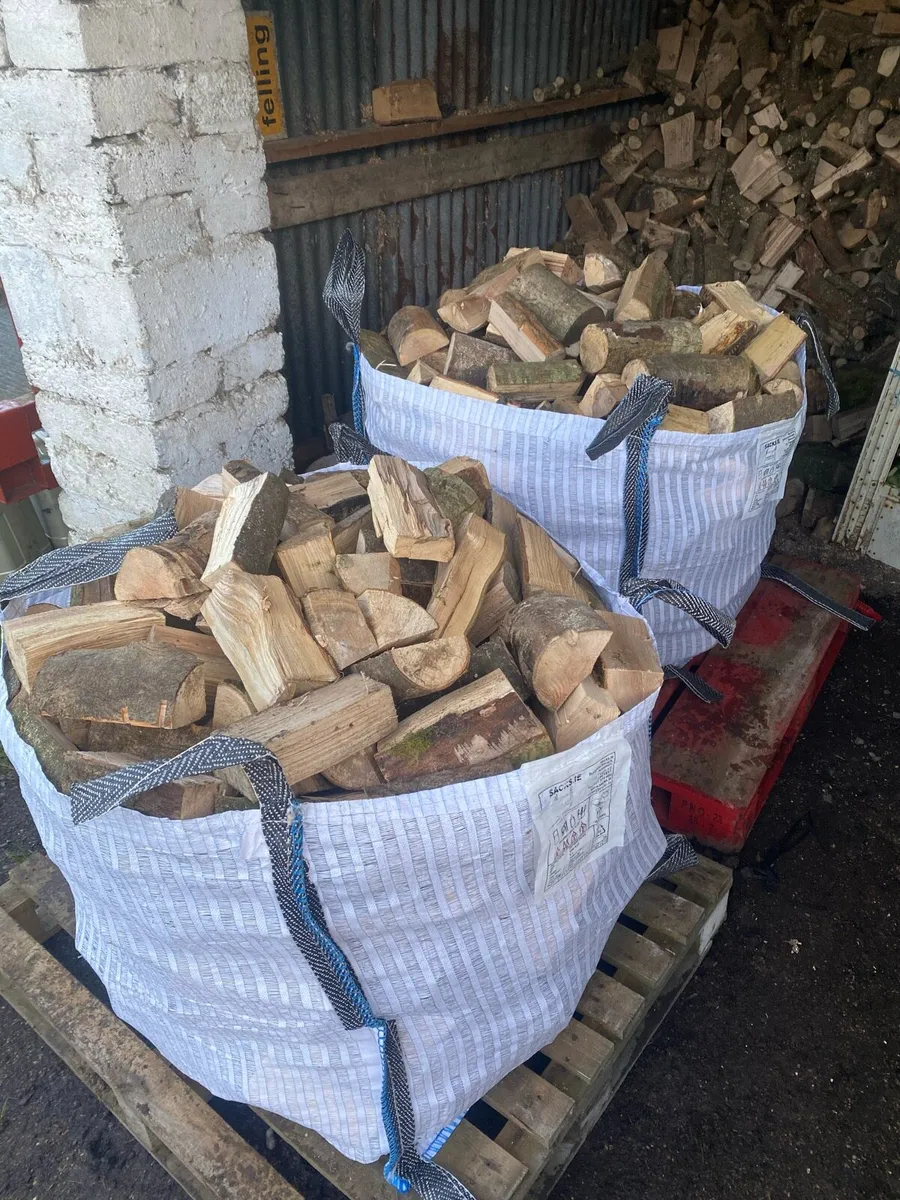 Firewood - Image 2