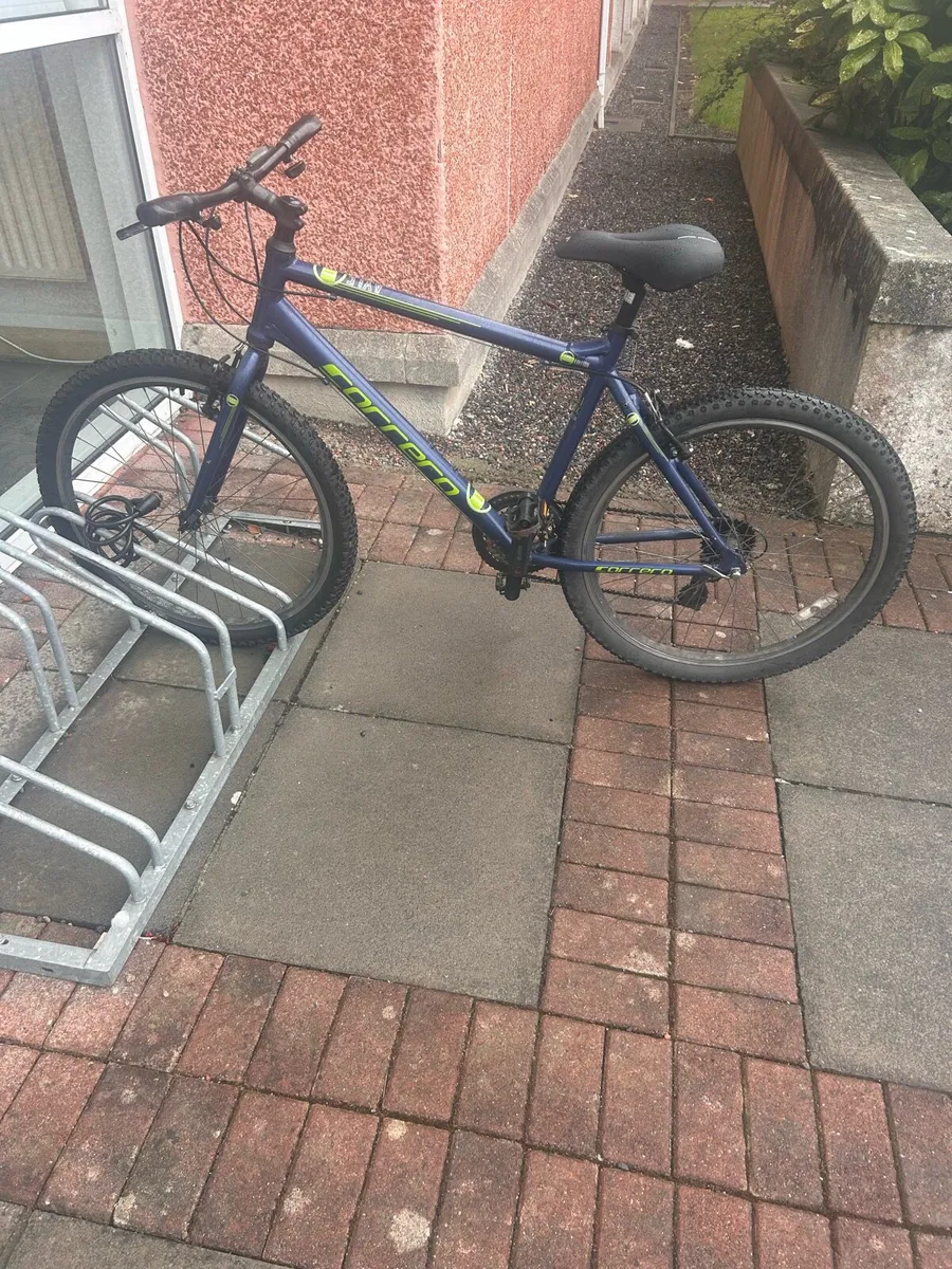 Adult mountain bike - Image 1