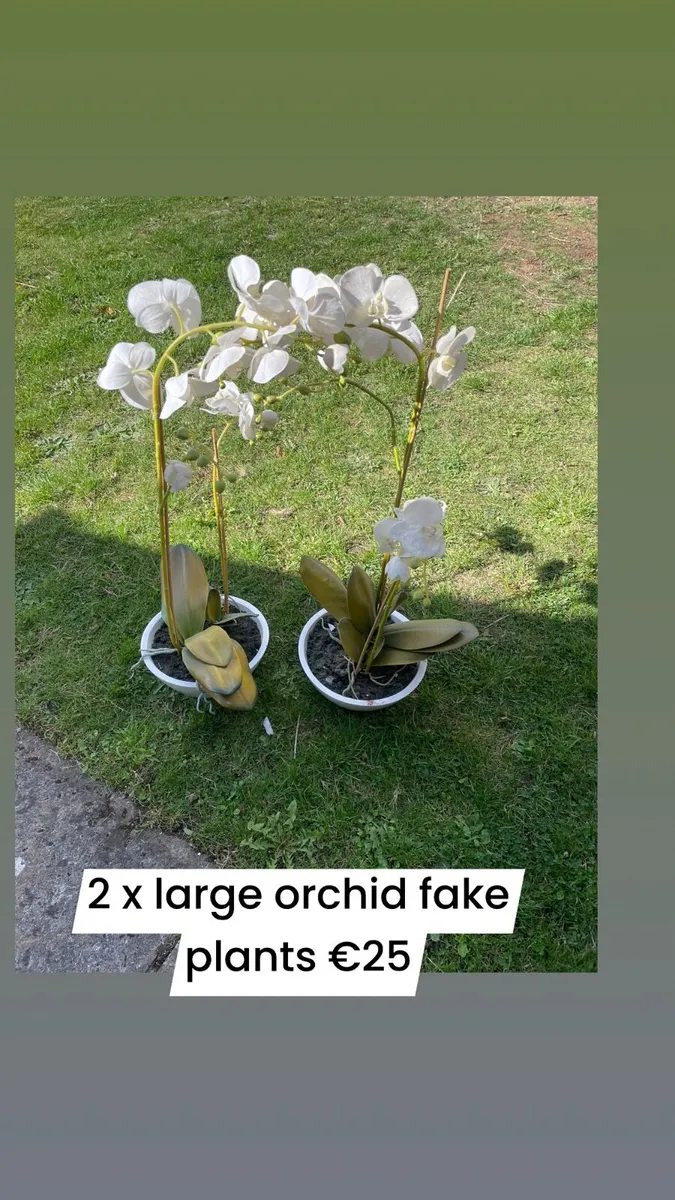 2 large fake plant orchid - Image 1
